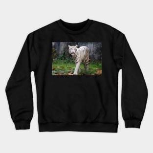 White Bengal Tiger Crewneck Sweatshirt